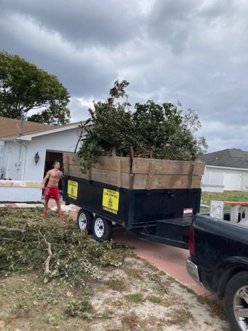Yard Waste Removal in Tampa Palms
